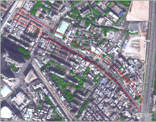 光明大街市政工程房屋征收補償方案最新通告